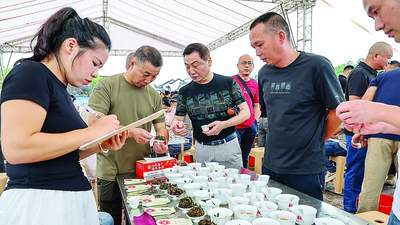 武夷山：卸掉“炭火妆” 好茶“素颜”见人