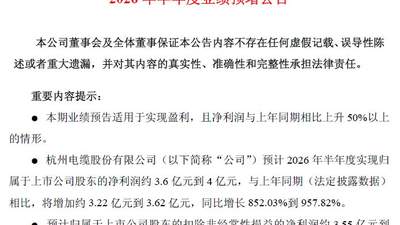算力浪潮引爆光纤赛道！杭电股份上半年扣非净利最高预增超12倍，昔日“减值包袱”大反转成“利润奶牛”