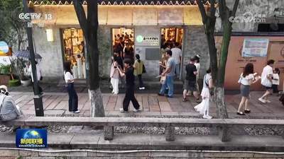 [视频]【文化中国行】呵护古城肌理 赓续千年姑苏繁华