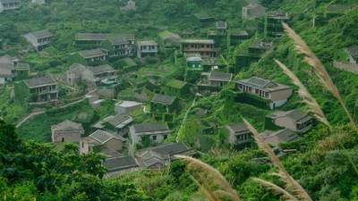 被遗弃的中国绝美无人村，真实世界版的“绿野仙踪”！