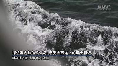 探访塞内加尔戈雷岛:感受大西洋上的历史印记