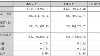 道氏技术2026年上半年利润增超25% 但现金流转负 产能与短债相关隐忧引关注