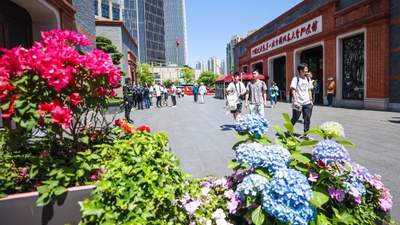来上海打卡多元文化新玩法 看展赏剧逛游乐园读建筑还能跑上马 这份五年文化发展规划等你参与体验