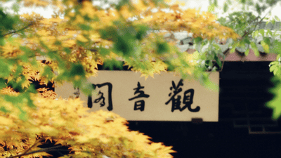 立秋来临！南湖革命纪念馆邀你共赴浅秋，体验清宁好光景