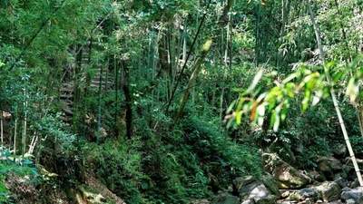 这个夏天来撒欢！川南川西藏着超多避暑好去处，你pick哪一个