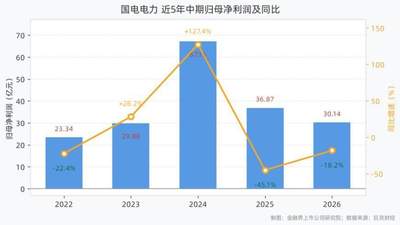 国电电力:上半年营收790.29亿元增1.77%,净利30.14亿元降18.25%