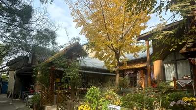 从一座难求到大规模倒闭：曾风靡全国的农家乐，为什么没人去了？