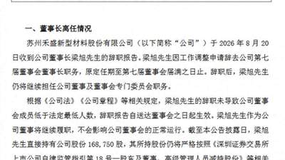 禾盛新材选举黄海清为新任董事长 业内:公司“国产AI算力”战略或提速