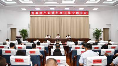 长春市宽城区召开产业链招商工作专题会议