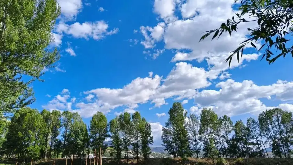 一杯咖啡虚度一个午后 时间像一块旧布 缓慢地磨损着
