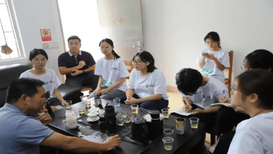 深山好茶如何走出山?岭南师院学子调研江林茶 为非遗茶品牌振兴献青春智慧