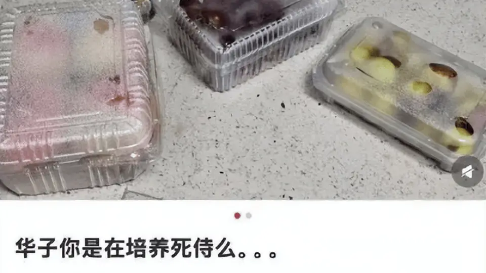 实习生薪资万元起步，华为字节抢人太狠！苦逼车企差多少？