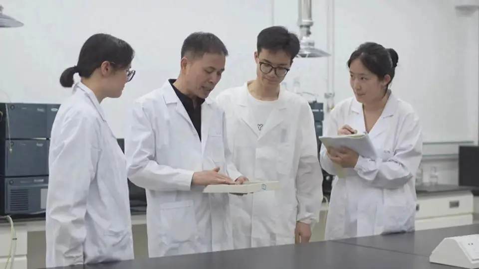 来虎林参与刺五加茶产业 体验黑土特色多元活力