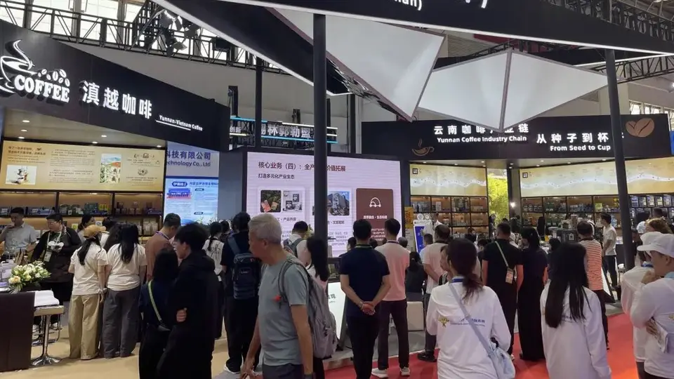 云南咖啡的“链”上之旅——云南咖啡企业组团参加第四届链博会侧记