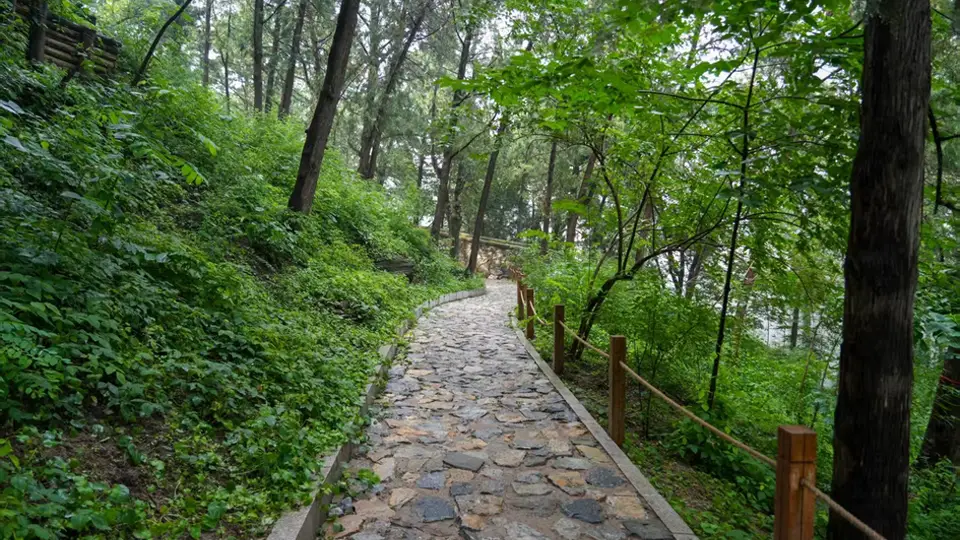 避暑胜地+1,香山公园古树保护示范区全新开放