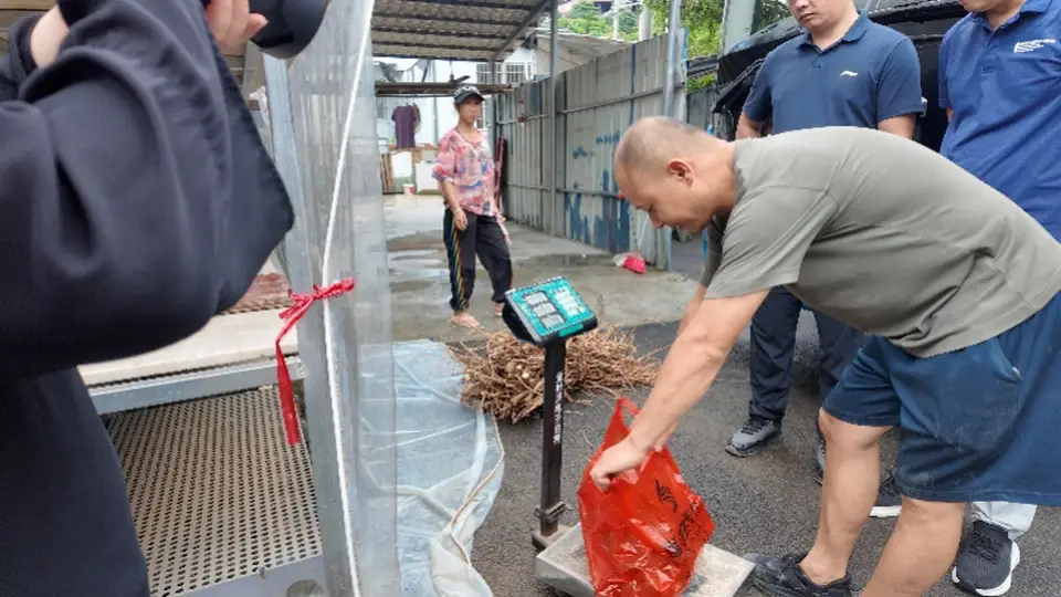 温泉引来湾区客!打卡藏在林海中的康养胜地