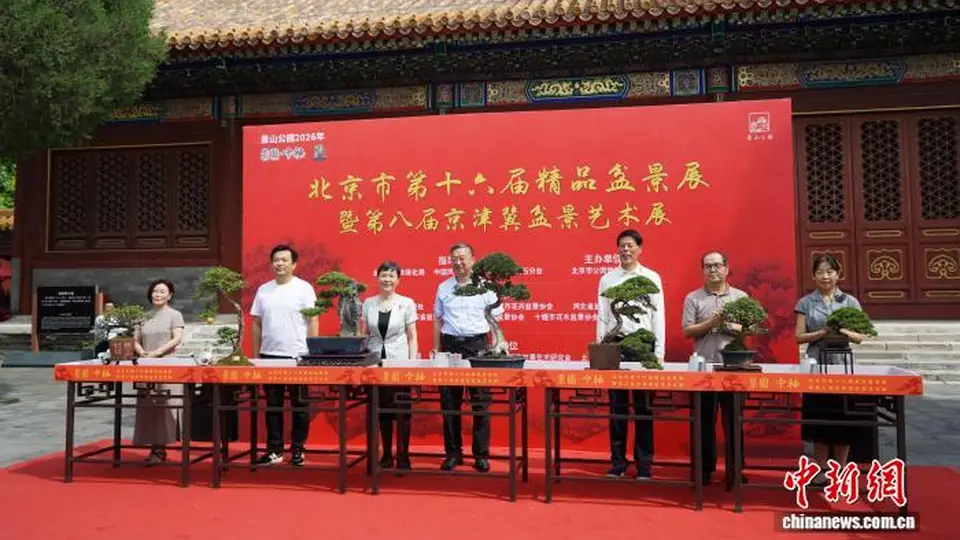 园林艺术融入多元场景 北京市第十六届精品盆景展在景山公园开幕