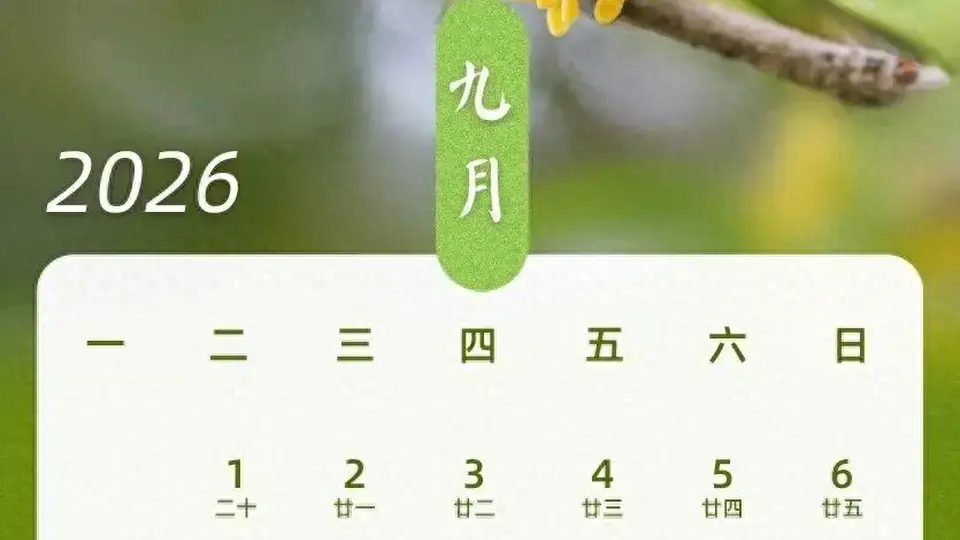 最新放假通知!请3天假可休13天