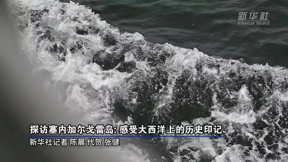 探访塞内加尔戈雷岛：感受大西洋上的历史印记