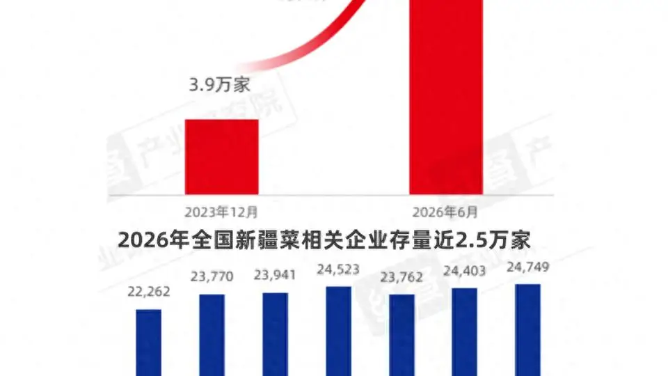 新疆菜火了！4.5万家门店背后的增长密码