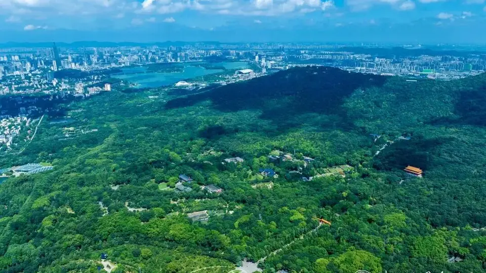 南京钟山风景区备多元体验活动 邀请2026级全国高校新生亲身赴约打卡