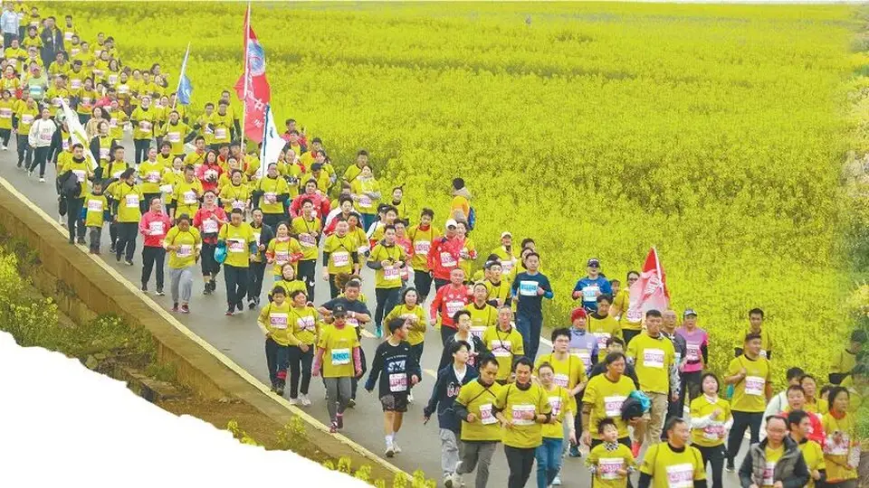 多元花海活动邀你参与 四季赏花体验拉满