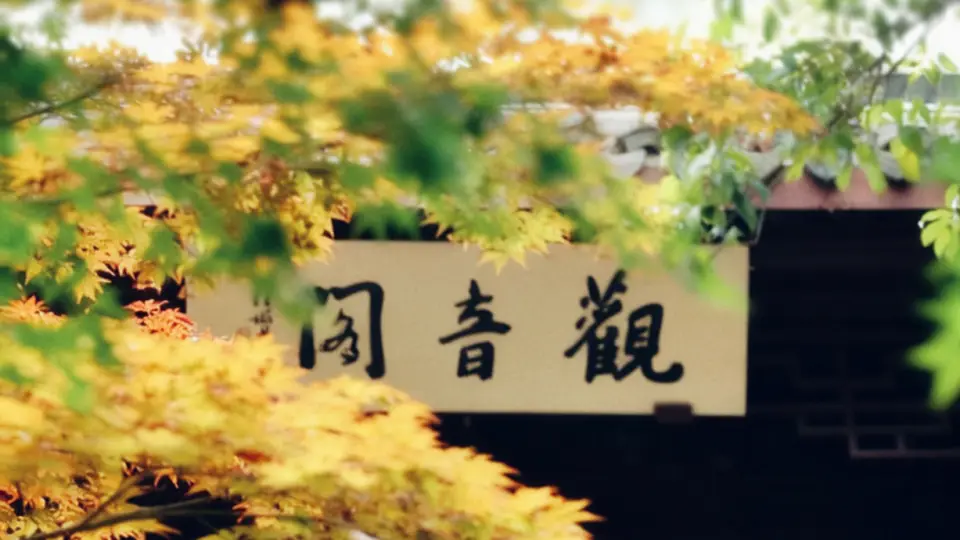 立秋来临！南湖革命纪念馆邀你共赴浅秋，体验清宁好光景
