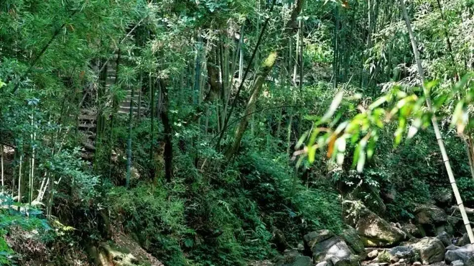 这个夏天来撒欢！川南川西藏着超多避暑好去处，你pick哪一个