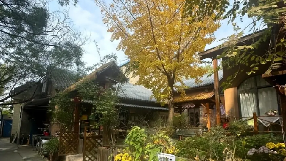 从一座难求到大规模倒闭：曾风靡全国的农家乐，为什么没人去了？