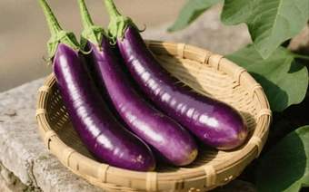 茄子正在大量上市！告诫大家：二者万不可同吃，吃茄子禁忌要牢记
