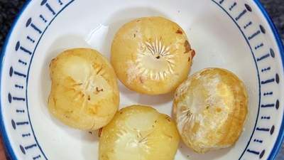 生吃解毒熟吃润肺！现在大量上市10元5斤，每天吃一点好处多多