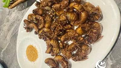 夏日“爬叉”虽美味 尝鲜有度莫贪多