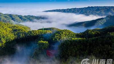 大暑避暑首选蜀南竹海清凉之旅