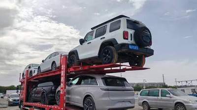 新疆乌鲁木齐自驾返程避坑:我在阿勒泰环线遇到的托运雷区全复盘
