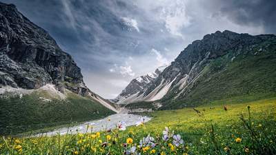 6月伊犁想找会唱歌跳舞的导游？本地人告诉你篝火晚会这样玩才够味
