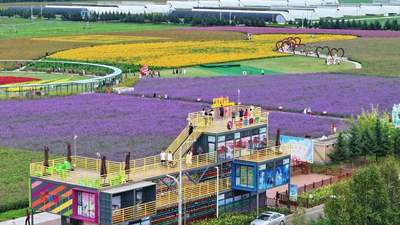 萝北县农趣绿意休闲体验游线路推荐