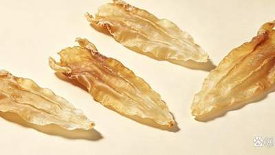 鱼胶怎么煲汤最好喝？5组家常经典搭配，滋补不重样！