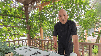 图片新闻 | 今年接待人次将实现新突破！乌当区避暑旅居迎来旺季