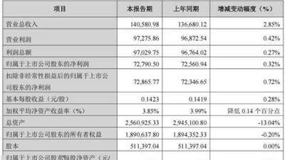 陕国投A上半年净利7.28亿元微增0.32%，总资产较年初缩水13%
