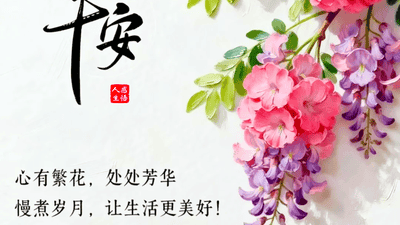 这段话写得太好了