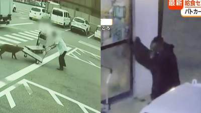 野猪街头打擂台，黑熊纵享“霸王餐”……日本迎来野生动物暑期“City Walk”潮？！