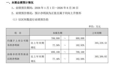 AI赛道周末集体报喜,9家公司业绩预告全线预喜