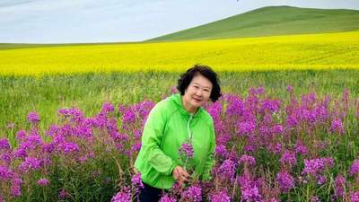 鲁迅文学奖获得者艾平:在写作上,我用一根针挖了一口井