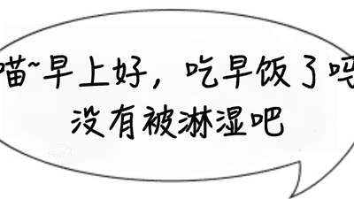 每天来一份鸡蛋早餐 轻松稳住体重还能收获超多健康益处