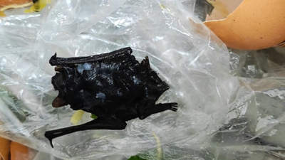 福建宁德福鼎肉片吃出异物？市民携子就餐遇此事，孩子呕吐就医后，市监部门已介入核查