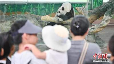 广州动物园暑期多元互动体验拉满 亲子家庭乐享游园时光