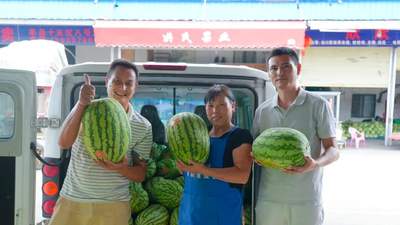 武汉木兰草原天水节邀游客免费尝河南瓜农滞销西瓜，入园即享助农消暑福利