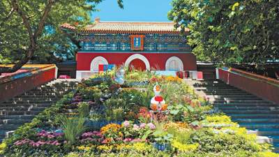 逛皇家古寺看展览 解锁北海阐福寺多元活动体验