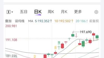 中期选举临近 特朗普施压美油企降油价？这些参与活动的人怎么看？