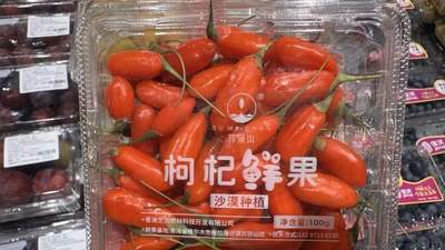许昌鲜果枸杞限时尝 多元吃法解锁新鲜体验